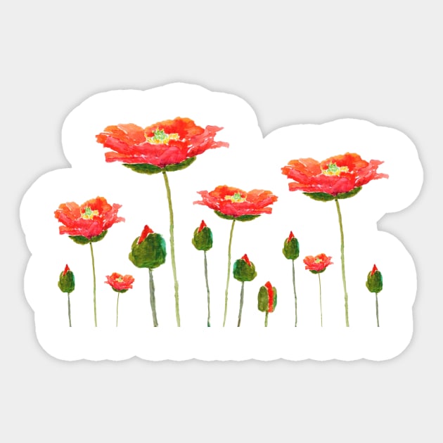 orange poppies watercolor Sticker by colorandcolor